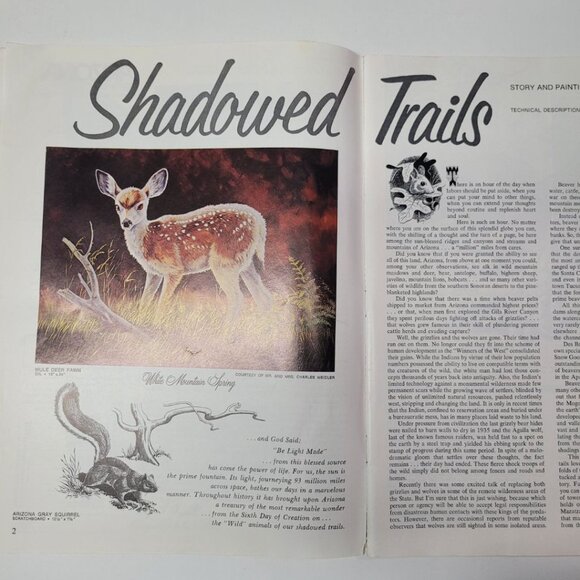 Arizona Highways Artwork Magazine February 1976 Larry Toschik Bobcat Deer Fawn - Picture 3 of 11